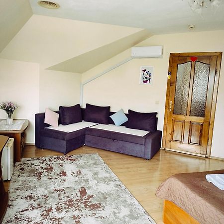 Hotel Delfin ムカチェヴォ エクステリア 写真